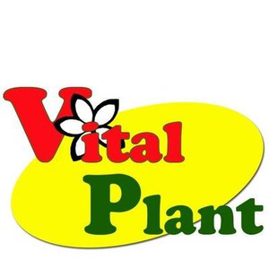 Vital Plant 