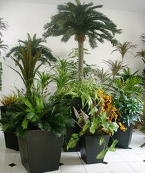 Plantas Artificiales