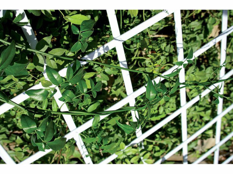 ⇒ Celosia fija catral pvc 1x2m 48mm verde ▷ Precio. ▷ Comprar